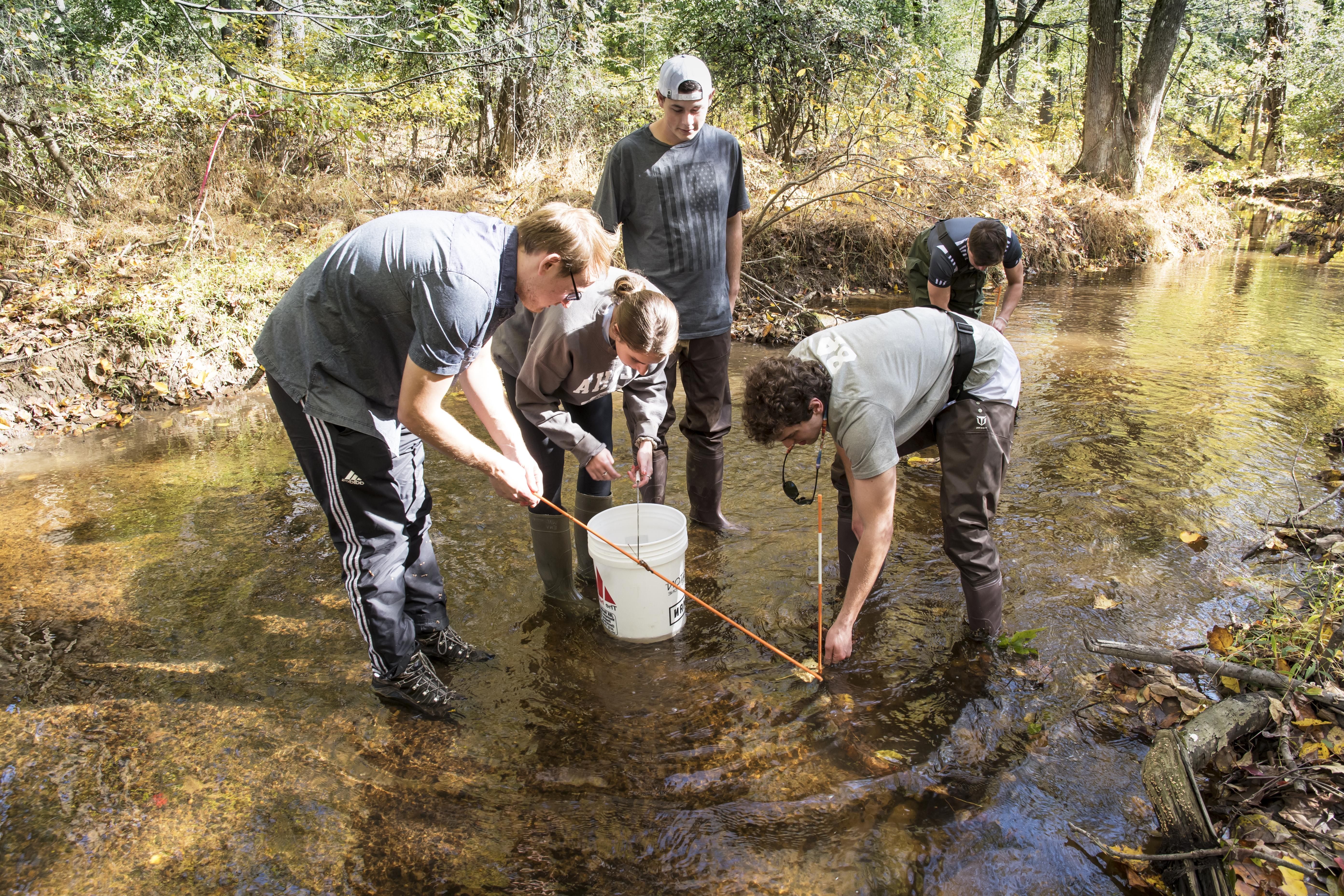 students standing in a creek